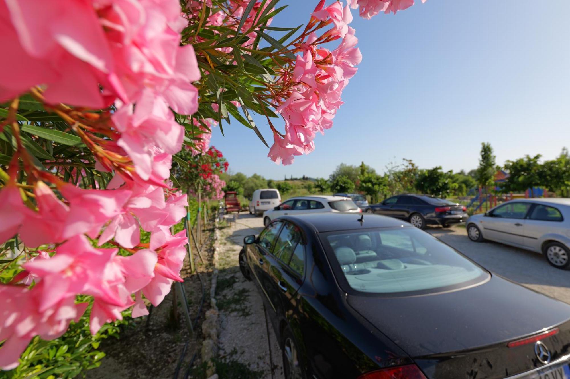 Mesopotam Agrotourism Resort Σαράντα Εξωτερικό φωτογραφία