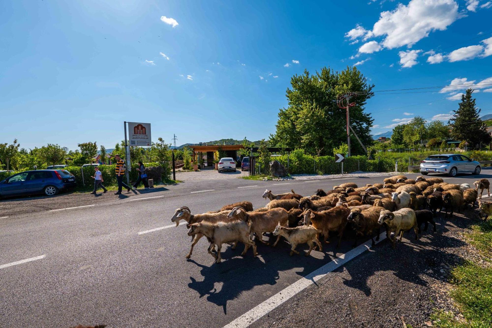 Mesopotam Agrotourism Resort Σαράντα Εξωτερικό φωτογραφία